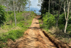 Akses Jalan Salah Satu Desa di Bengkulu Tengah Tak Tersentuh Pembangunan Sejak 2012