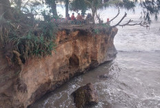 Kondisi Sungai Suci Mengkhawatirkan, Butuh Dipasang Batu Pemecah Ombak