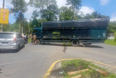 Jalan Lintas Liku Sembilan Bengkulu Tengah Sempat Terganggu, Truk Angkut Cangkang Sawit Patah Gear Box