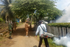 Sempat Slow Respon, Dinkes Akhirnya Fogging Desa Dusun Baru II Marak DBD