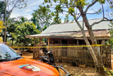 Warga Bengkulu Tengah Geger, Pemuda Ini Tewas Mengenaskan Usai Diduga Berkelahi dengan Ayah Tirinya