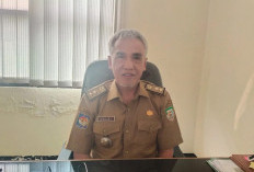 Fasilitasi Kebun Masyarakat Tersendat, Distan Kirim Surat Teguran ke Perusahaan