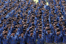 Muncul Usulan dari DPD RI agar Gaji PPPK Paruh Waktu Tidak Bikin Pilu