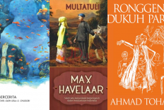 5 Rekomendasi Novel Sejarah Indonesia Terbaik, Ada Max Havelaar hingga Laut Bercerita