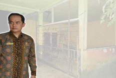 Dugaan Penjualan Aset Desa oleh Oknum Mantan Kades, DPMD Tunggu Investigasi Inspektorat