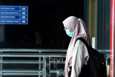 Ratusan Non-ASN Tidak Masuk PPPK Paruh Waktu, Honorer Bodong Titipan Tetap Diusut