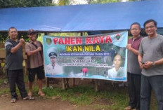 Program Ketahanan Pangan Budidaya Ikan Nila, Pemdes Batu Raja Raup Cuan Segini