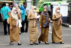 Pengumuman Kelulusan PPPK Teknis 2023 Mengejutkan Honorer, Muncul Masalah Baru