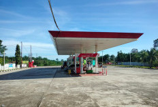 Pengawas SPBU Klaim Aplikasi MyPertamina Guna Pastikan Distribusi Bio Solar Tepat Sasaran