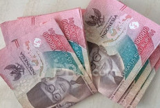 Anggaran Gaji ke-13 PNS dan PPPK Siap Dicairkan, untuk P3K PW, Maaf ya