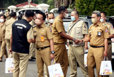 Menjadi PPPK Merupakan Takdir, Walkot Padang Panjang: Semua Setara dalam Menjalankan Tugas Profesionalitas