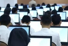 Pemerintah Resmi Umumkan Pengadaan Rekrutmen PPPK Paruh Waktu