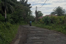 Akses Jalan Menuju 2 Sekolah di Bengkulu Tengah Alami Kerusakan, Begini Kondisinya 