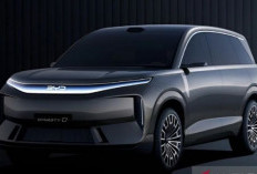 BYD Siapkan SUV Mewah, Dimensinya Lebih Besar dari Palisade