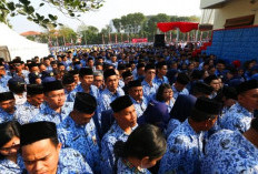 Lebih Banyak Honorer TMS PPPK Paruh Waktu, Ada Saran dari BKN