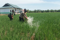 Kementan Penuhi Kebutuhan Air Program PAT di Riau Lewat Bantuan Pompanisasi