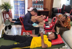 Solidaritas Tanpa Batas demi Asta Cita Prabowo, DPD RI Gelar Donor Darah Serentak
