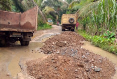 Jalan Provinsi di Desa Layang Lekat-Pagar Jati Bak Kolam Ikan Akhirnya Ditimbun