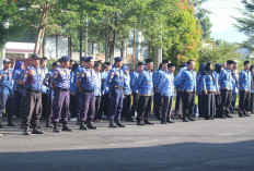 500 ASN Ajukan Pindah Domisili ke Bengkulu Tengah, CPNS Menyusul Usai Pembekalan