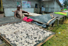 Nelayan Pekik Nyaring Tetap Berlayar di Musim Badai, Menghadapi Risiko Demi Mencukupi Kebutuhan