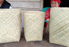 Bengkulu Tengah Usulkan Beronang sebagai Warisan Budaya Tak Benda 2025