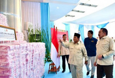 Pemerintah Tagih Denda Rp 2,3 Triliun ke 20 Perusahaan Sawit dan 1 Tambang