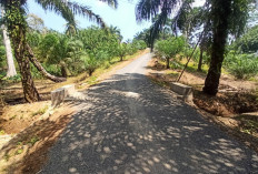 Jalan Penghubung Antar Dusun di Desa Srikuncoro Rampung, Segini Panjangnya