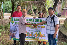 Perayaan Idul Adha, PT PMS Berbagi Hewan Kurban ke Dua Desa