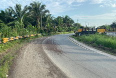Hati-Hati! Tumpahan Cangkang di Jalan Lintas Bengkulu-Kepahiang Bisa Picu Kecelakaan