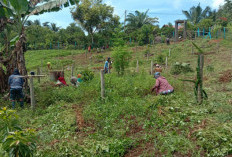 Pemdes Margo Mulyo Fokus pada Budidaya Buah Naga dan Kacang Tanah untuk Ketahanan Pangan 2024