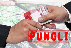 Kembali Ditemukan, Dugaan Pungli Rekrutmen Karyawan Dapur MBG, Nominalnya Bikin Geleng-Geleng
