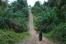 Kades Harap Jalan Dusun Anyar Dibangun Tahun Ini 
