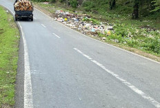 Sampah Menumpuk di Jalin Desa Pondok Kubang Diduga Dibuang Warga dari 