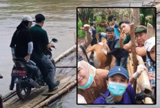 Terabas Sungai dan Bukit, Tim Keswan Bengkulu Tengah Rela Bertaruh Nyawa di Lapangan