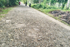 Wahana Surya Jadi Sorotan, Warga dan Ponpes Nurun Fauqo Nuuri Keluhkan Akses Jalan Rusak