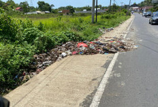 Tumpukan Sampah Hiasi Jalan Lintas di Bengkulu Tengah