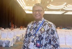 Revisi UU ASN 2023 Hapus Status PPPK dan Paruh Waktu? BKN Kasih Bocorannya