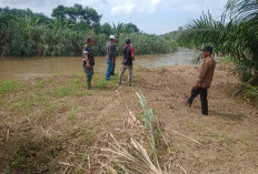 Desa di Kecamatan Pondok Kelapa Ini Bakal Ditanami Bambu