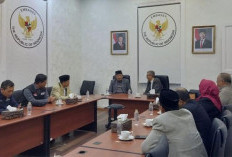 BAZNAS–KBRI Kairo Tingkatkan Koordinasi Salurkan Bantuan ke Gaza