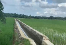 Diduga Janggal, Pembangunan Irigasi di Bengkulu Tengah Senilai Miliaran Rupiah Dilirik APH
