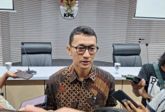 KPK Hormati Proses Hukum Kejagung di Kasus MBG