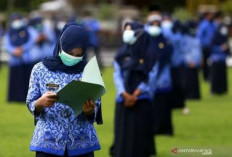 PPPK di Sejumlah Daerah Terancam PHK, BKN Merespons