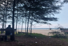 Pantai Desa Harapan Jadi Salah Satu Pilihan Buat Liburan Nataru