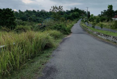 Anggaran Kebersihan Lingkungan Jalan Perkantoran Renah Semanek Dipertanyakan