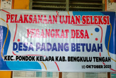 Diduga Ada Kejanggalan, Seleksi Kadun III Desa Padang Betuah Tuai Protes