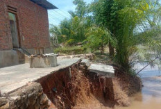 Dampak Abrasi Juga Dirasakan di Desa Pondok Kelapa, Begini Penampakannya