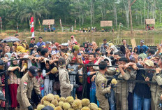 1.500 Buah Durian Ludes Sekejap, Buah Merigi Kelindang Terbaik, Dishub Jawara Fashion Show