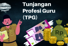 TPG Ratusan Guru Sudah Cair, Cek Rekening Sekarang!