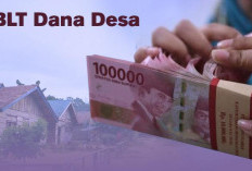 13 KPM BLT DD Desa Taba Pasmah Ditetapkan, Penerima Lansia Miskin Jadi Prioritas