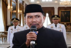 Saat Petugas MBG Diangkat PPPK, ASN Malah Diputus Kontrak, AP3KI Beri Solusi